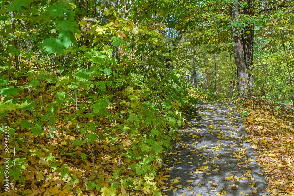 Autumn park landscape view, Sofievka park, Uman, Ukraine Autumn park landscape view, Sofievka park, Uman, Ukraine