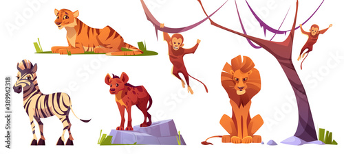 Cartoon wild animals tiger, monkeys, hyena, zebra and lion with ape. Jungle inhabitants predators and herbivorous in zoo park or safari outdoor area. Beasts in fauna, isolated vector illustrations set