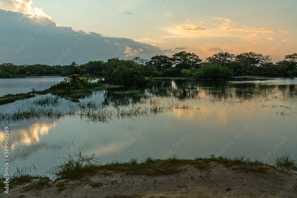 Yala National Park sunrise landscape, Sri Lanka