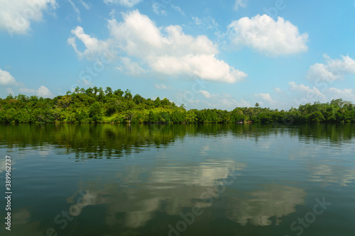 Fototapeta Naklejka Na Ścianę i Meble -  Lake natural landscape, Sri Lanka, Koggala village