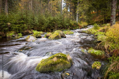 dominant stone in water stream  colorful autumn forest  bohemian  czech republic