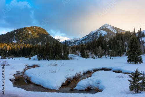 Big cottonwood