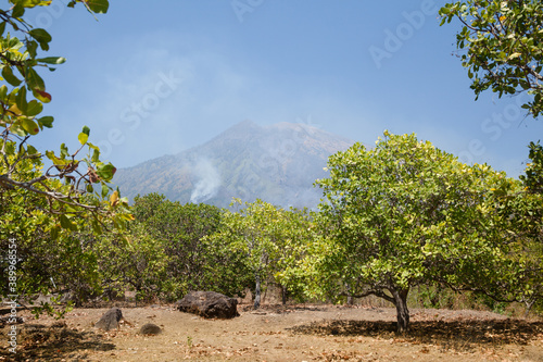 Garden with cashew trees and Agung volcano in the distance.