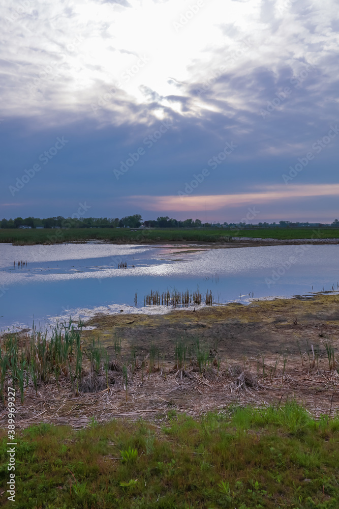 Marsh lands in rural Ohio under evening sun light