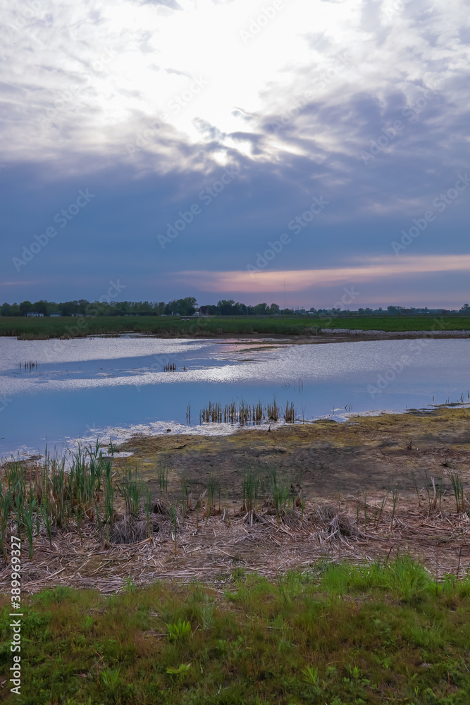 Marsh lands in rural Ohio under evening sun light Marsh lands in rural Ohio under evening sun light