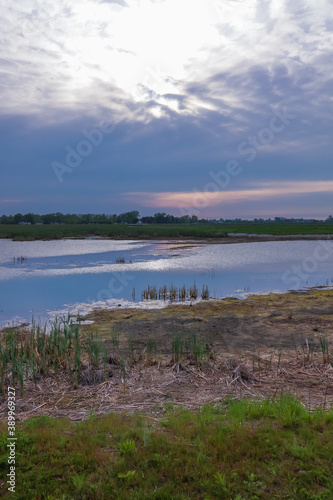 Marsh lands in rural Ohio under evening sun light © SNEHIT PHOTO