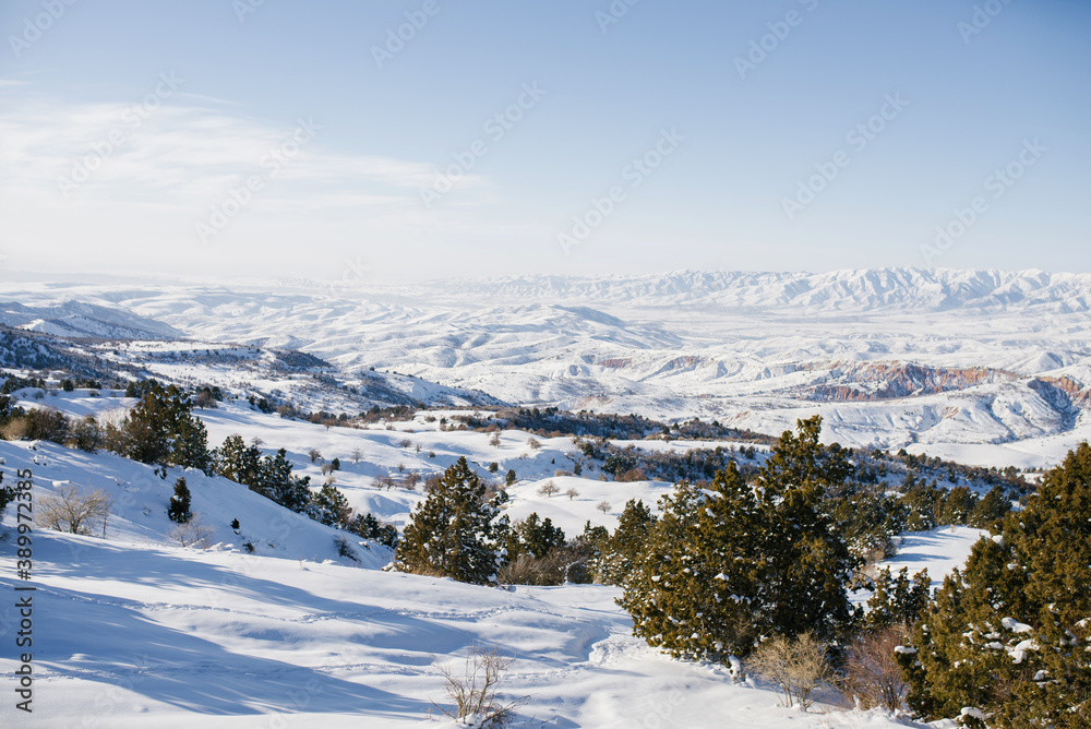 The majestic Tien Shan mountains in winter in Uzbekistan. Wonderful Winter Landscape. Stunning highlands on a Sunny day. Amazing view of snow-capped mountains and fir trees under the sun