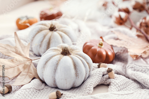 Autumn pumpkins with dry leafs and acorns on knitted sweater