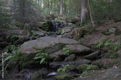 Wasserfahl Wasser Natur Bayrischerwald
