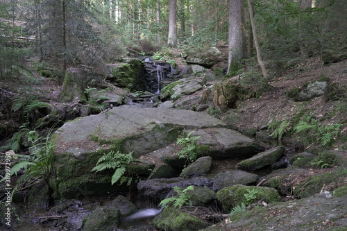 Wasserfahl Wasser Natur Bayrischerwald