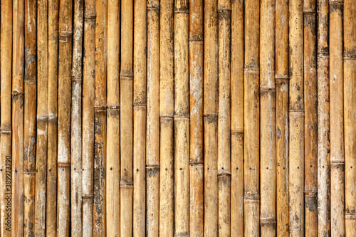 Close up of bamboo wood background texture
