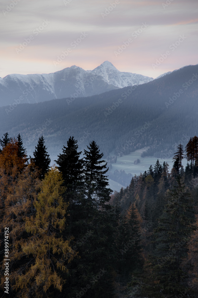 Amazing view of the Dolomite mountains in a warm autumn day. Warm fall foliage solors in the pine trees in the foreground. Postcard perfection.