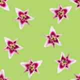 seamless pattern of Lily flower bloom. Lily flowers over green background seamless texture. flat lay flower pattern