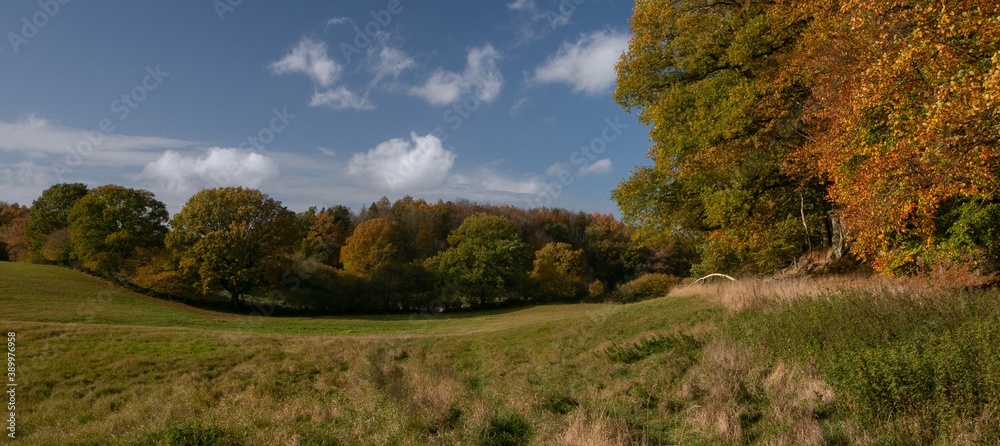 schöne Feldlandschaft mit Wäldern im Herbst, Panorama