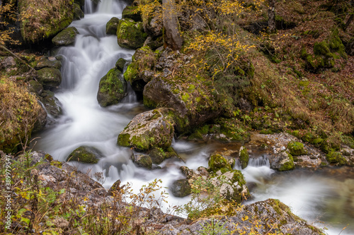 Herbst im Ges  use