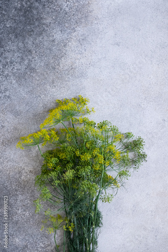 Bunch of dill on gray background