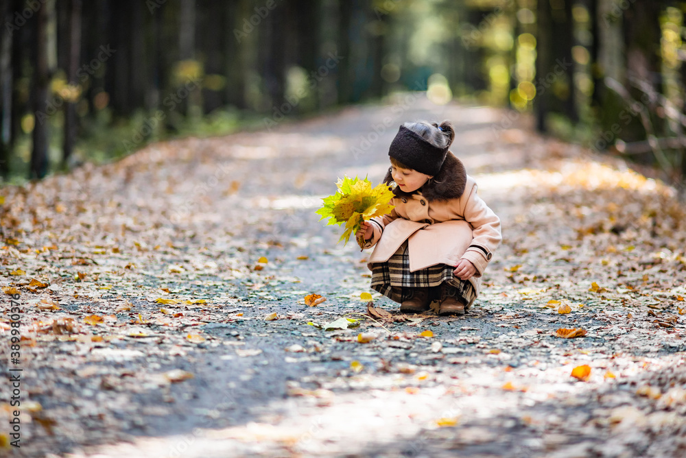 A little girl walks in the autumn forest with a bouquet of leaves A little girl walks in the autumn forest with a bouquet of leaves