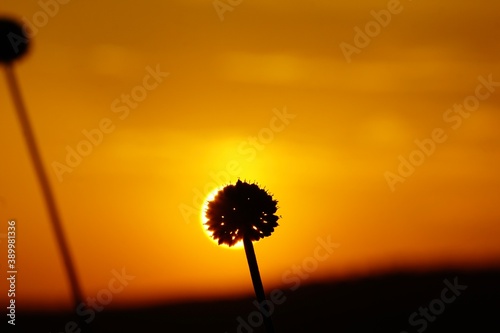 Sonnenuntergang auf Menorca