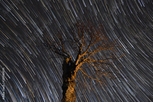 Single bare tree with a beautiful spinning starry sky in the background in Kodanad, India photo