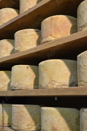 Formaggio Castelmagno Stagionatura