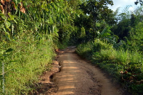 Fototapeta Naklejka Na Ścianę i Meble -  Chiang Rai, Thailand - Road into Yafu Village