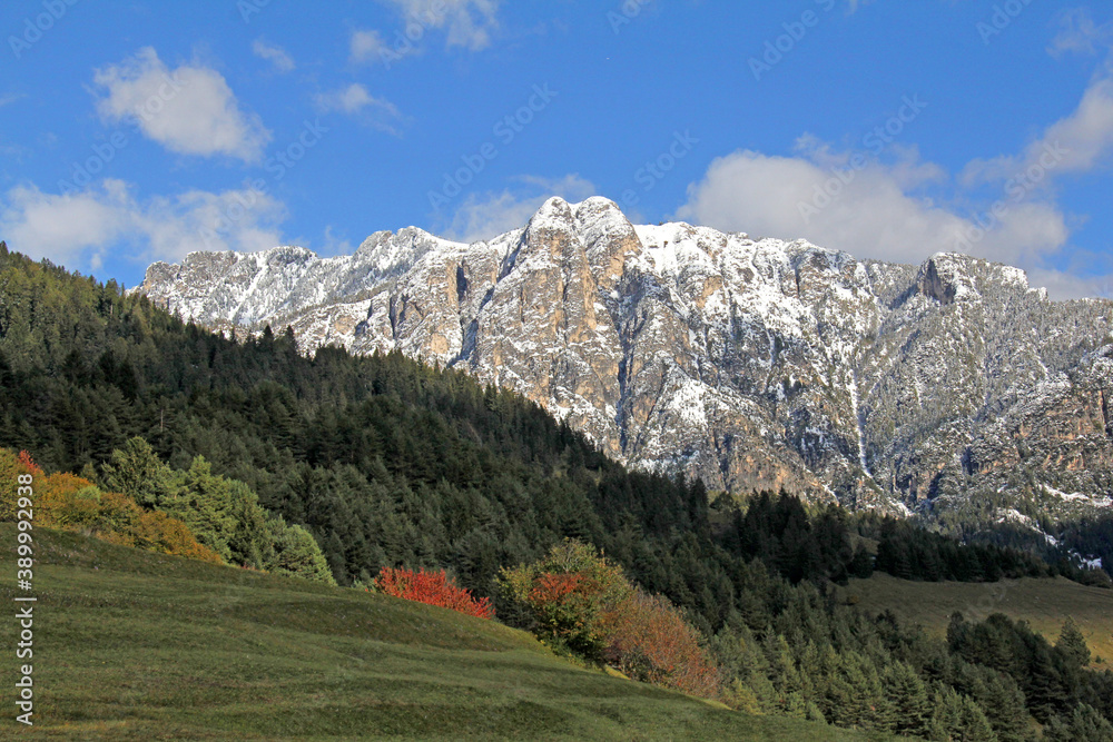 i prati sopra Cavalese e i Cornacci; Val di Fiemme, Trentino