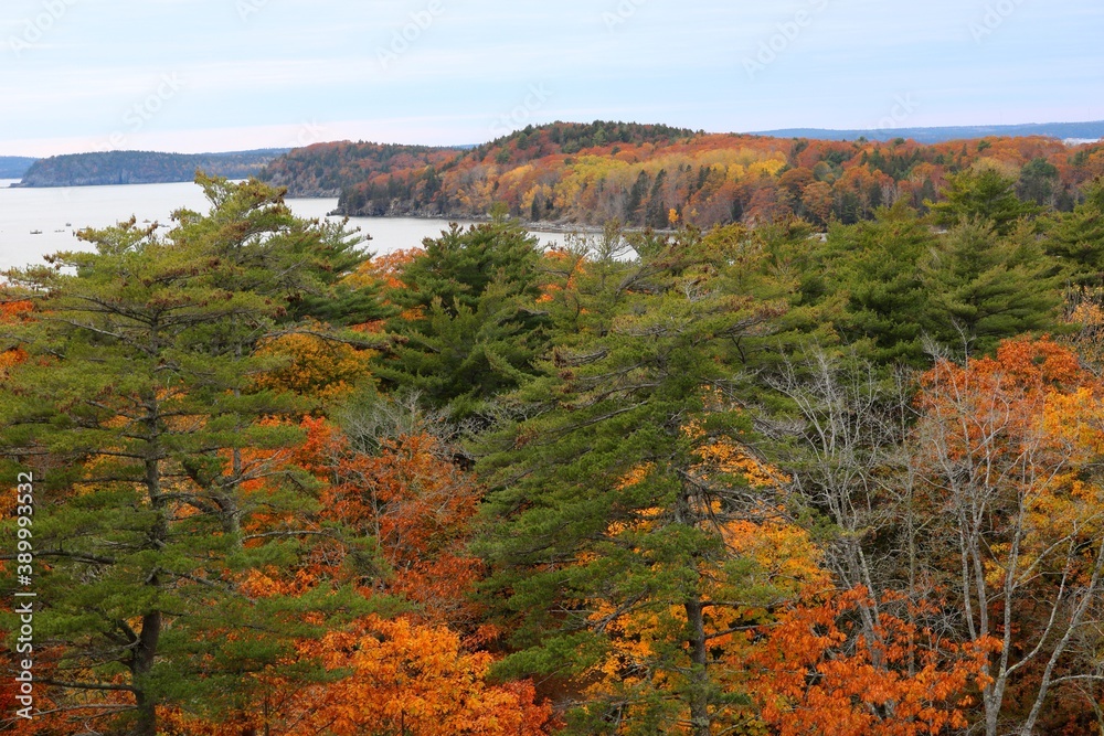 beautiful autumn scene of new england foliage by the ocean