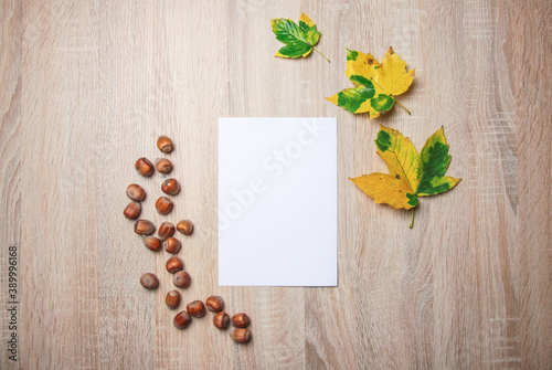 Autumn still life. Blank copy space card mockup of an autumn composition with hazelnuts and fall leafs. Fall and Thanksgiving concept. Styled stock flat lay photo. Top view, vertical.