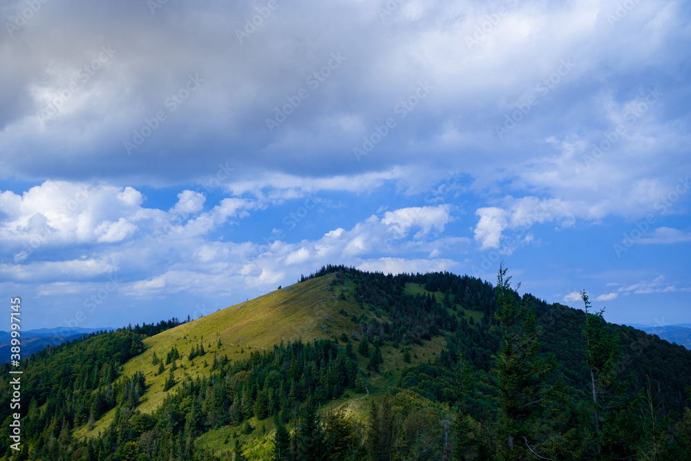 summer mountain landscape highland forest scenic view nature photography in slightly cloudy June day