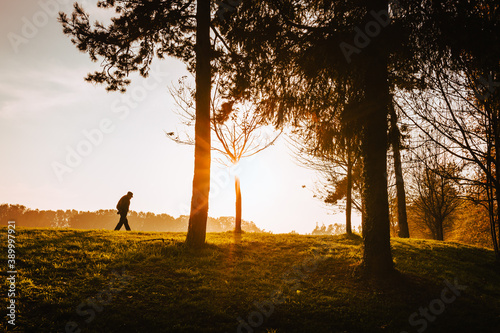 Silhouette of elderly man while walking on a hill in the Monza park in autumn