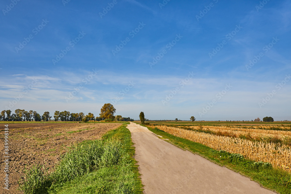 road between meadows