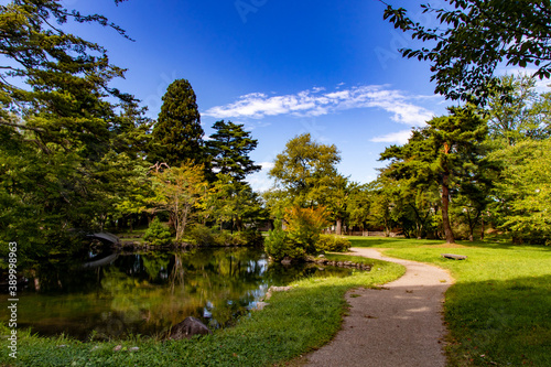 公園の池に映る青空
