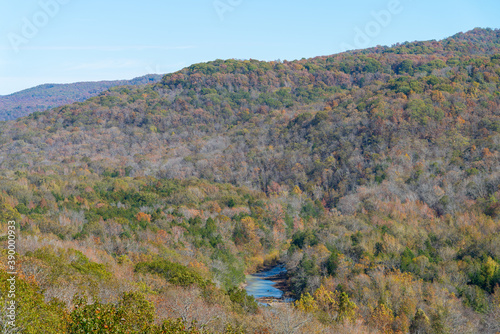View of forest during autumn in northwest Arkansas