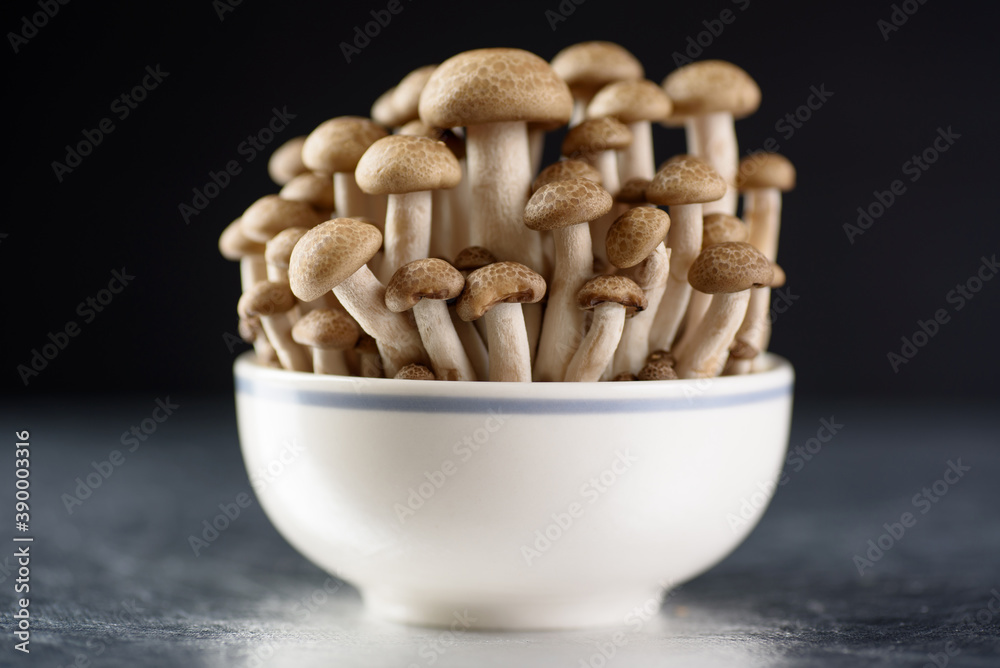 Shimeji mushroom, organic fresh vegetable food ingredient