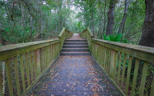 Ascending wooden walking path photo