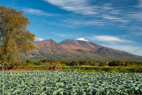 Active volcano and cabbage field in autumn