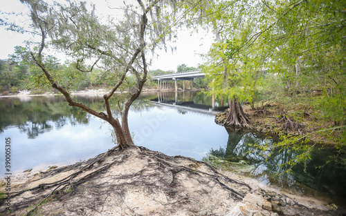 BRANFORD, FLORIDA, UNITED STATES - Oct 20, 2018: Branford Springs flowing into Suwannee River photo