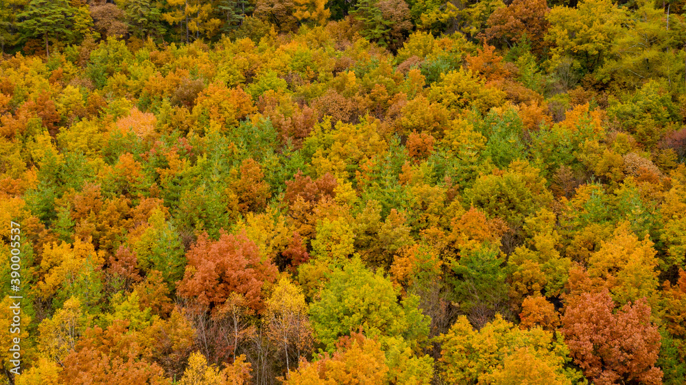 Temperate mountain with beautiful autumn colors Temperate mountain with beautiful autumn colors