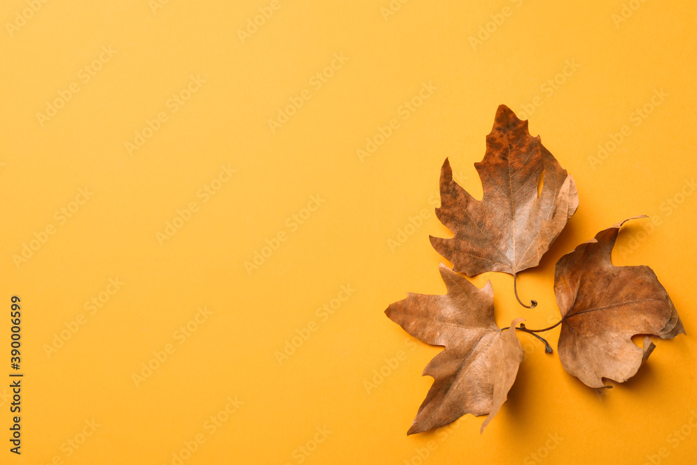 Dry autumn leaves on yellow background, flat lay. Space for text Dry autumn leaves on yellow background, flat lay. Space for text