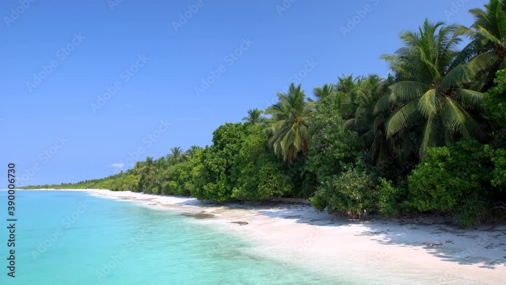 Tropical seashore with palm trees. Travel destinations. Maldives island Tropical seashore with palm trees. Travel destinations. Maldives island