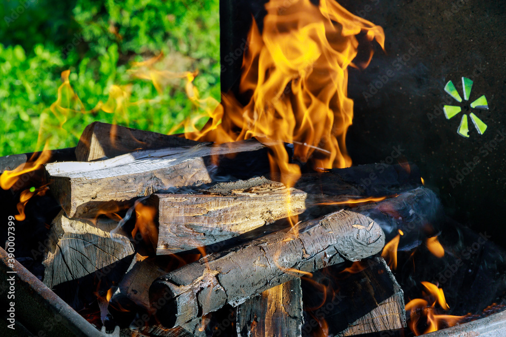 Metal grill with burning wood log. Close up. Metal grill with burning wood log. Close up.