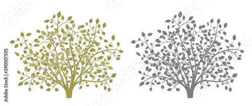 Drawing of a shrub silhouette in two versions in vintage style