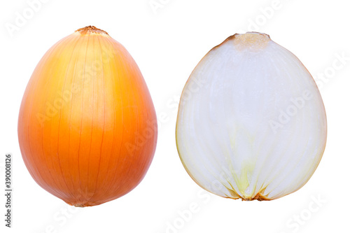 onion isolated on white background Onions and isolated on white background with clipping path  isolated on white background full depth of field