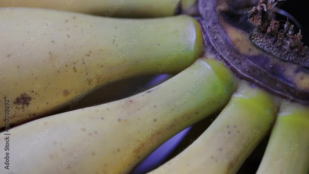 Close up de penca de banana