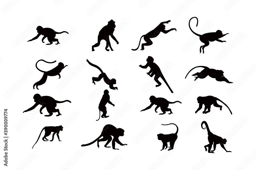 monkey silhouette icon vector set for logo