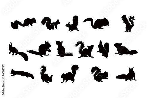squirrel silhouette icon vector set for logo
