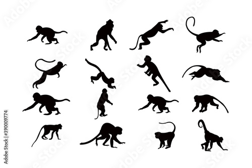 monkey silhouette icon vector set for logo photo