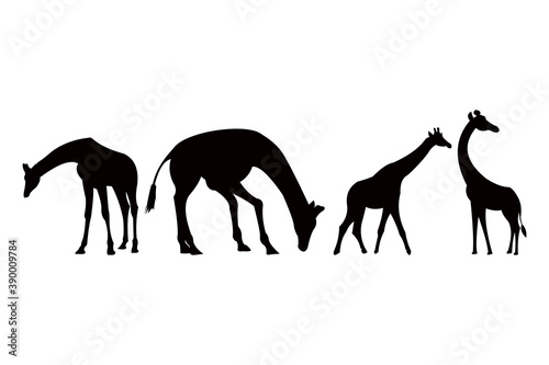 giraffe silhouette icon vector set for logo