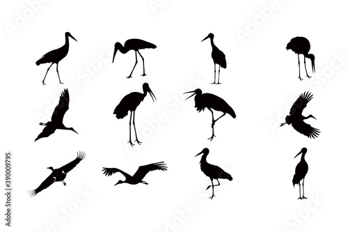 stork silhouette icon vector set for logo
