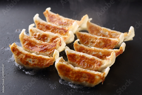 焼き餃子 photo